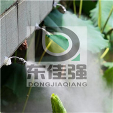 FOc